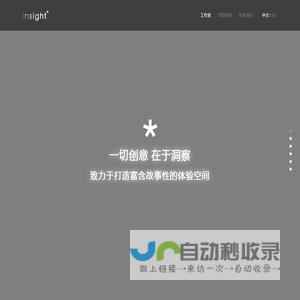 Insight意在