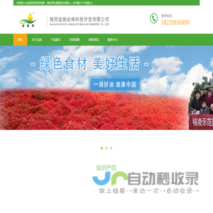金油