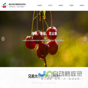 烟台大樱桃,烟台大樱桃树苗,烟台大樱桃苗木合作社,烟台兄弟大樱桃专业合作社