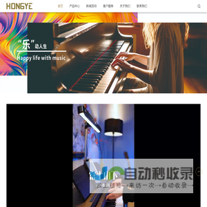 浙江韵乐电器有限公司