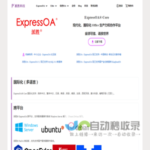 派胜OA