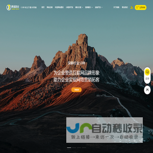 网站建设公司