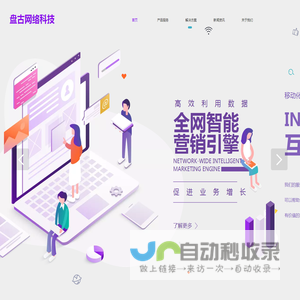 盘古网络科技网站