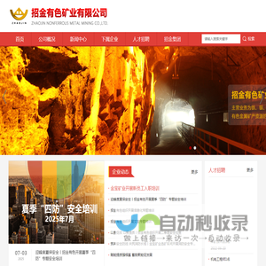 招金有色矿业有限公司