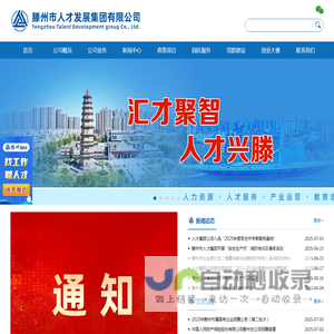 滕州市人才发展集团有限公司