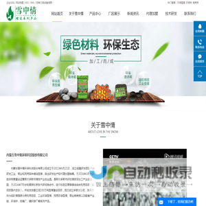 环保型煤