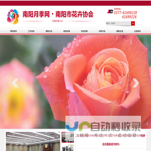 南阳月季网,月季网