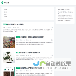新乡市田飞网络科技有限公司