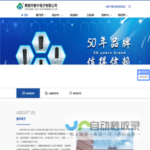 东莞市智中电子有限公司