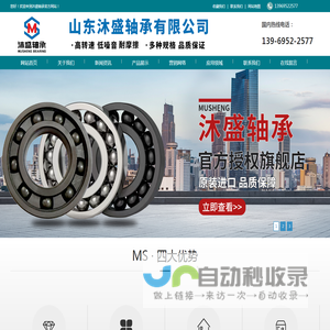 新加坡RWD轴承有限公司