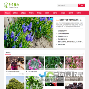 果壳植物