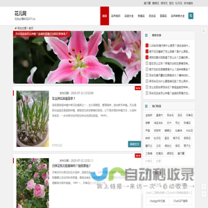 花儿网