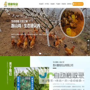 贵州雷格牧业有限公司