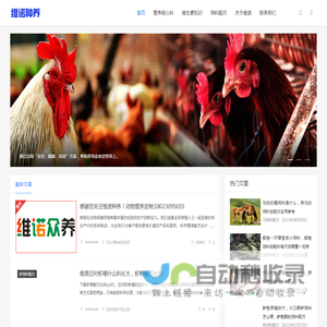维生素预混合饲料