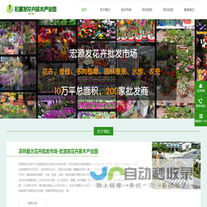 深圳花卉