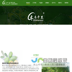 菲油果基地