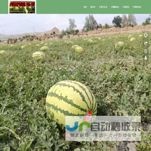 宁夏中卫西瓜代办
