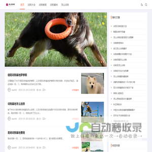 首页