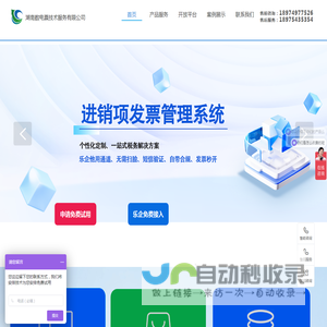 湖南数电票技术服务有限公司