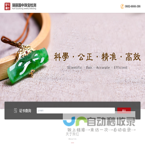 瑞丽国中珠宝检测