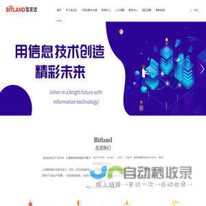 深圳宝龙达信息技术股份有限公司