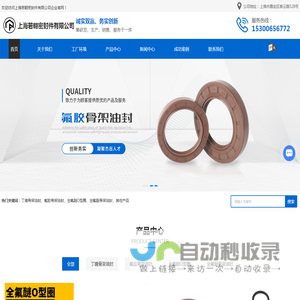 FFKM全氟醚O型圈