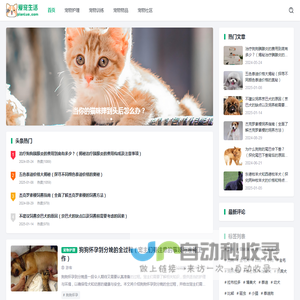 爱宠生活