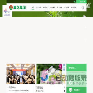 丰岛控股集团