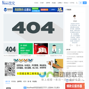 SEO排名优化