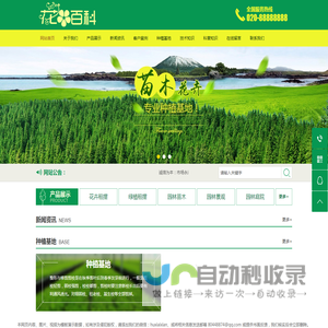 苗木价格行情
