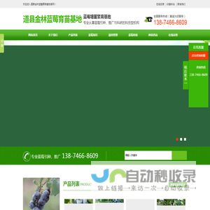 道县柑桔苗销售