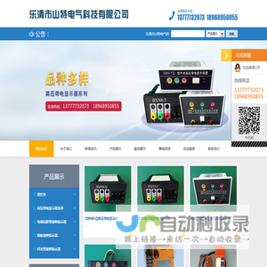 乐清市山特电气科技有限公司