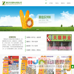 磐石玉米种子