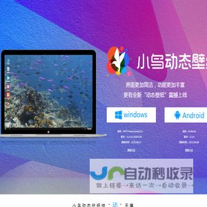 小鸟动态壁纸官网