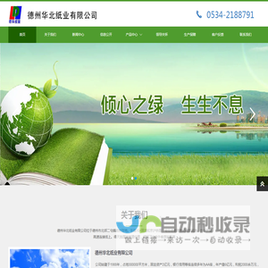 静电复印纸,高档防粘原纸,打印纸,新闻纸,书写纸,轻型纸