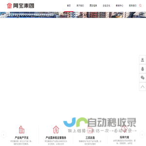 阿宝集团