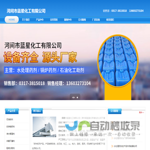 河间市蓝星化工有限公司