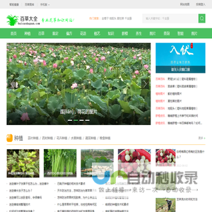 植物百科