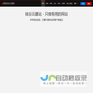 中亚硅谷云建站