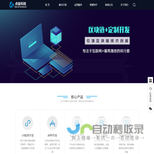 点金网络科技