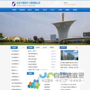 武汉中易软件工程有限公司