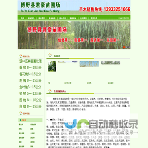 河北金枝槐