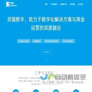 灵猫LINGMAO,灵猫数字