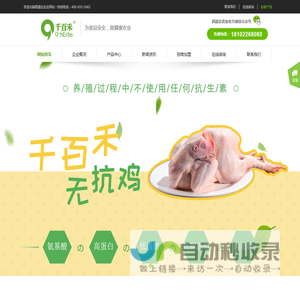 千百禾无抗鸡,吉林酉盛达农业科技有限公司