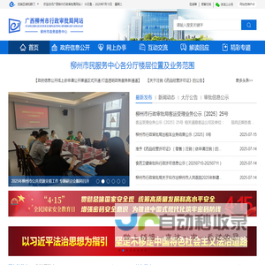 广西柳州市行政审批局网站