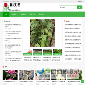 鲜花心愿