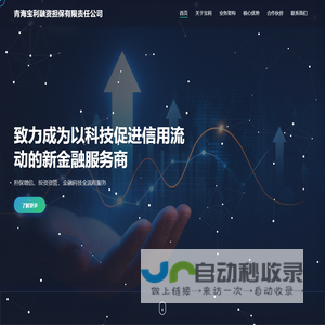 青海宝利融资担保有限责任公司