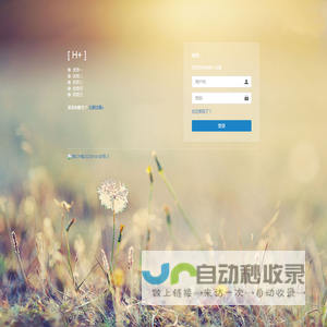 柒兔瞄大金服
