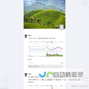 炒股网