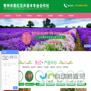 草花批发基地